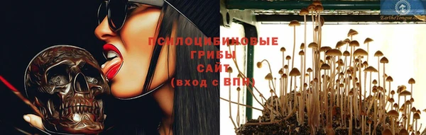 трава Горняк