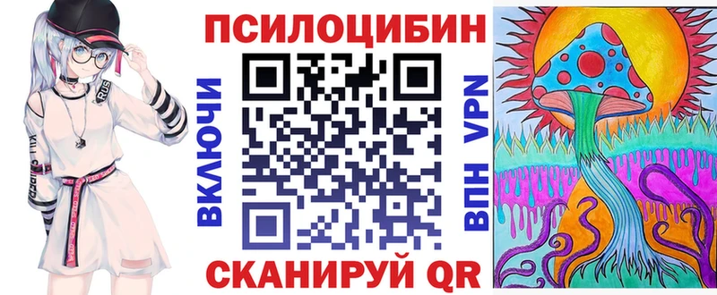 закладка  Пласт  Псилоцибиновые грибы Cubensis 
